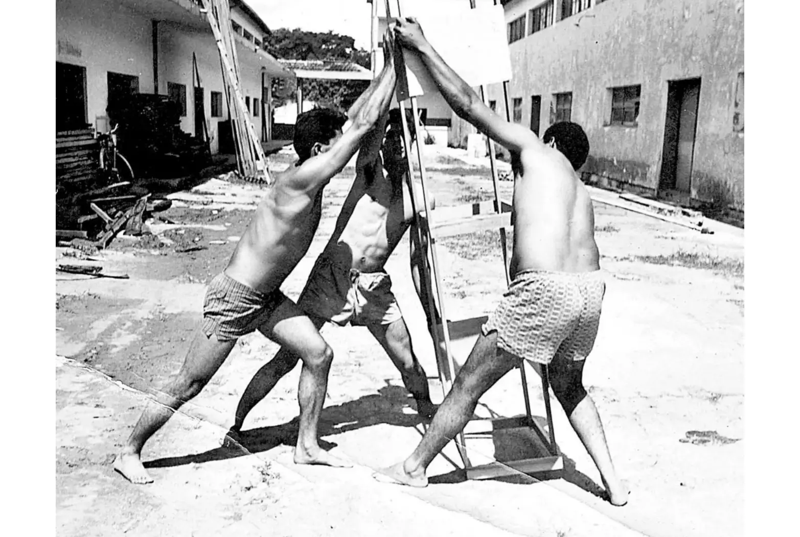 WhatsApp Image 2026-01-26 at 14.20.10 (2)