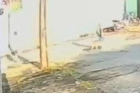 Tutor do pitbull conseguiu conter o animal - (Foto: reprodução)