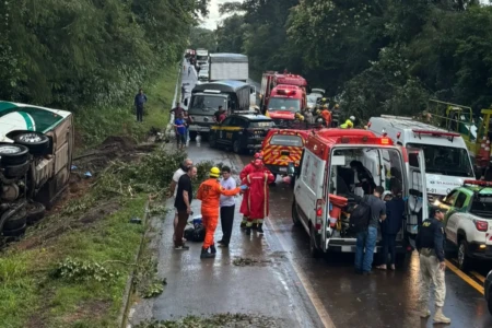 Ônibus que saiu de Goiânia com destino ao Pará tomba na BR-153 (Foto: Bombeiros)