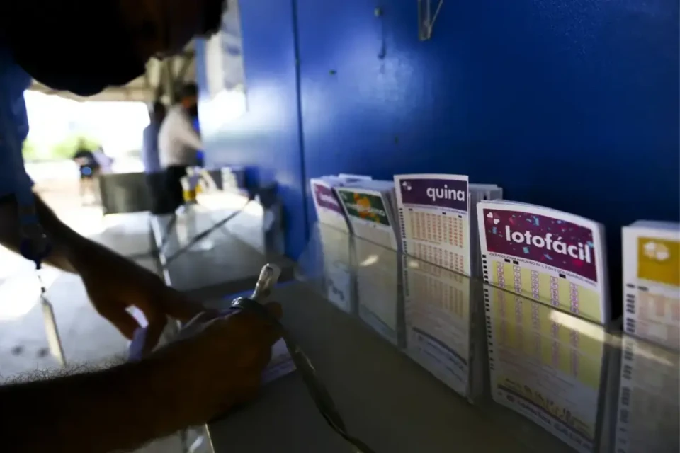 Concurso 3597 da Lotofácil: veja resultado e prêmios que saíram para Goiás (Foto: Agência Brasil)