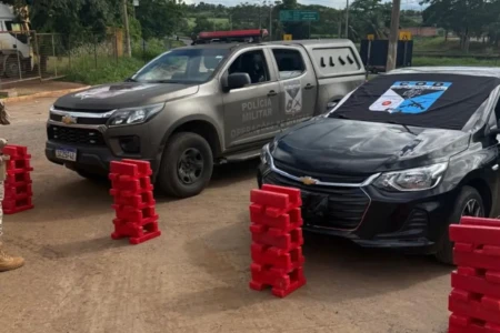 Imagem da maconha apreendida