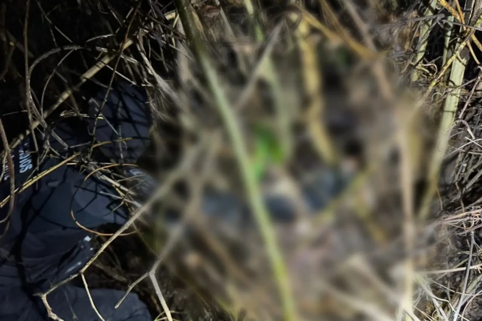 Imagem do local onde o corpo foi encontrado