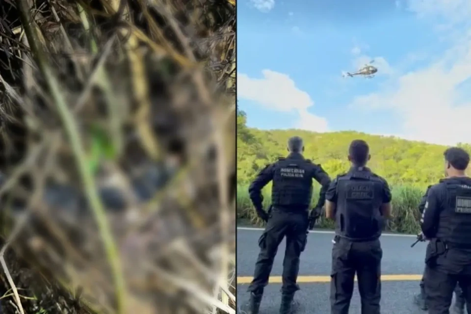 Imagem da operação