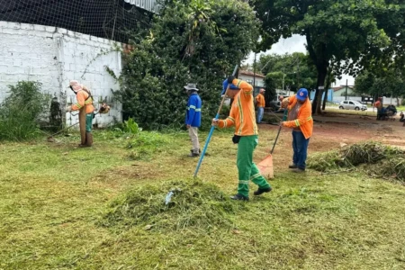 Prefeitura inicia operação de roçagem e poda para conter mato alto em Goiânia (Foto: Divulgação)