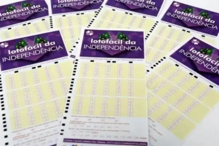 Concurso 3599 da Lotofácil: veja resultados e prêmios que saíram para Goiás (Foto: Agência Brasil)