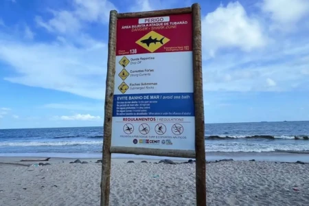 Adolescente morre em Olinda (PE) após mordida de tubarão Governo pernambuco diz que praia onde ocorreu acidente tem quatro placas de alerta