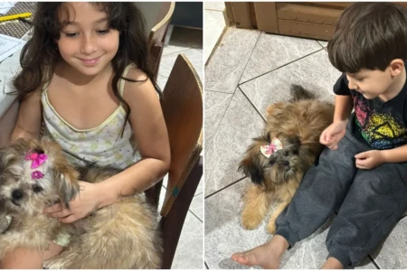Família procura cachorras desaparecidas no setor Garavelo, em Aparecida
