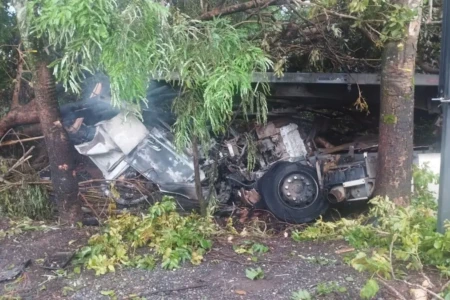 Duas pessoas morrem após caminhão sair da pista e pegar fogo em Santa Tereza de Goiás