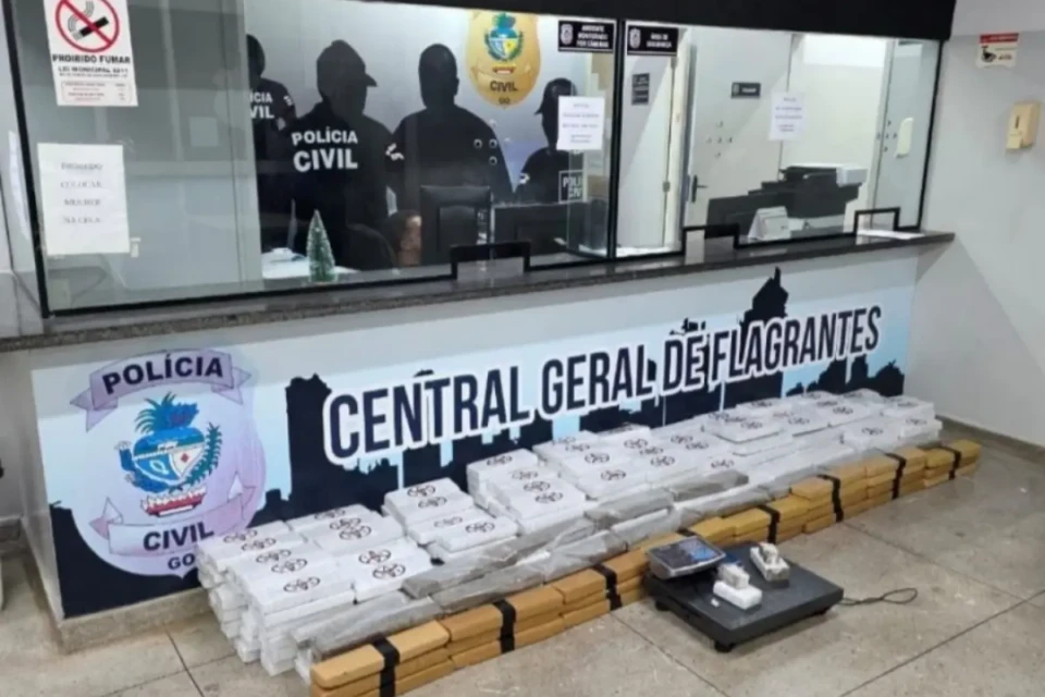 Imagem da apreensão
