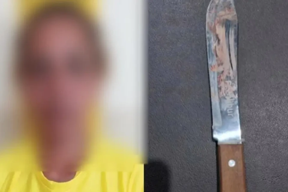 Mulher foi presa em posse da arma utilizada no crime - (Foto: reprodução/PM)