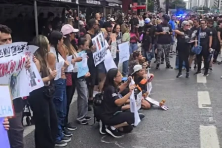 'São assassinos, não são crianças', gritam manifestantes em ato do cão Orelha em SP (Foto: Reprodução)