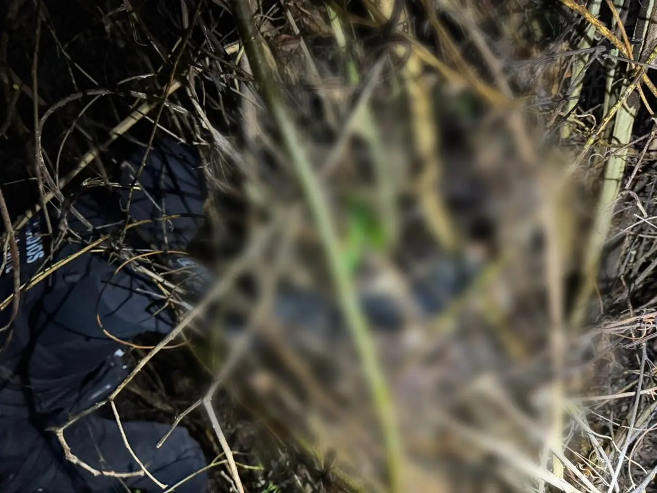 Imagem onde o corpo foi encontrado