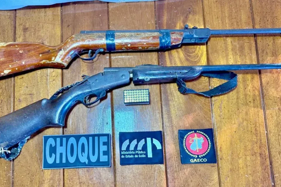 Espingardas apreendidas