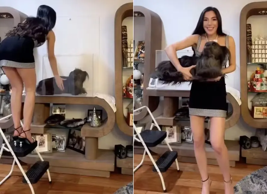 image Influencer causa polêmica ao manter cadela morta na sala de casa; veja imagens