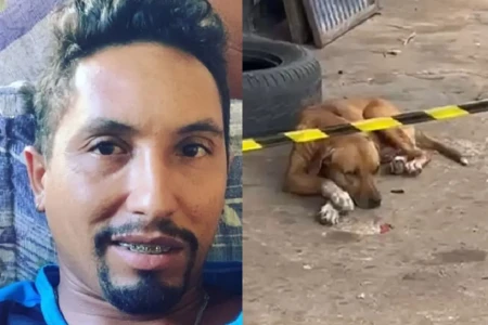 Os cães são amigos fiéis e verdadeiros Vídeo: cachorro se recusa a sair da porta da borracharia após dono ser morto em Anápolis