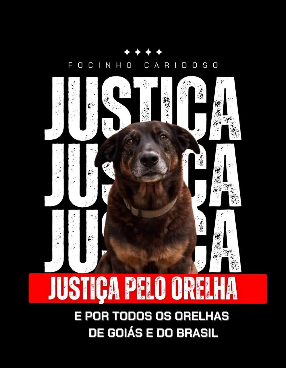 WhatsApp Image 2026-02-06 at 15.56.35