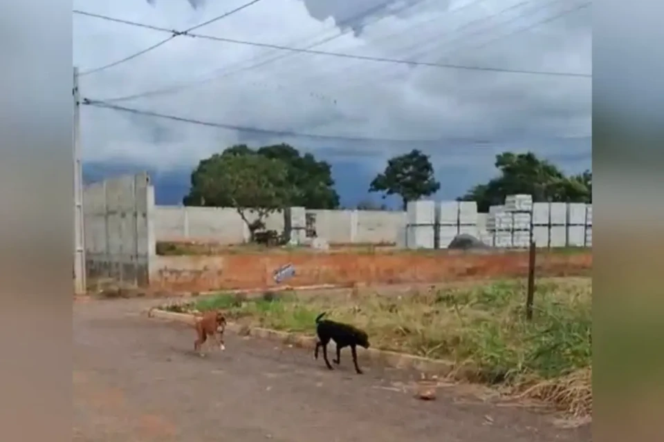 captura-de-tela-2026-02-06-190714