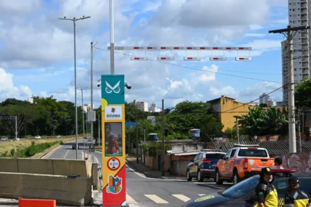 WhatsApp Image 2026-02-08 at 11.28.59