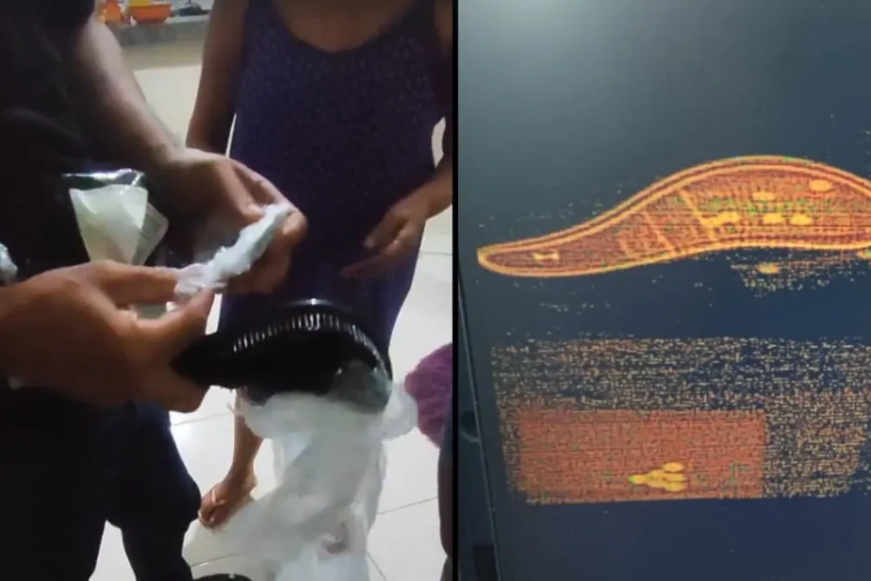 Imagens mostram produto onde medicamento estava escondido