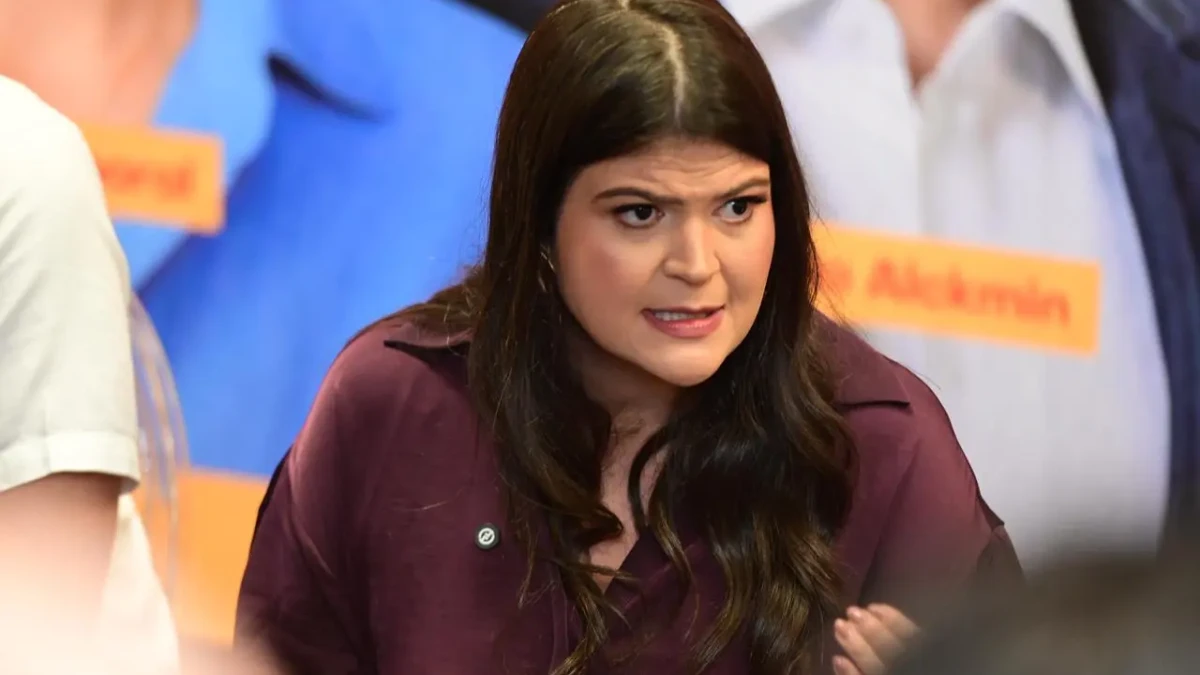 aava-santiago-filiacao-psb