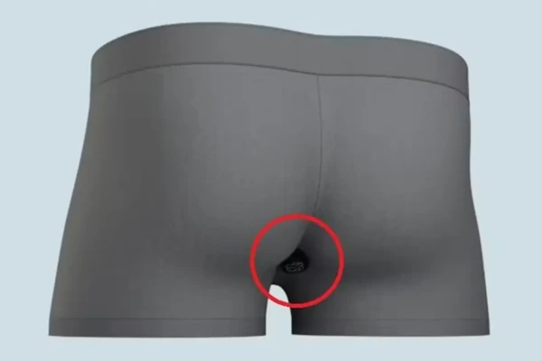 Cientistas criam dispositivo para estudar flatulência e fazem descoberta sobre o corpo humano Monitor é colado na roupa íntima perto do ânus