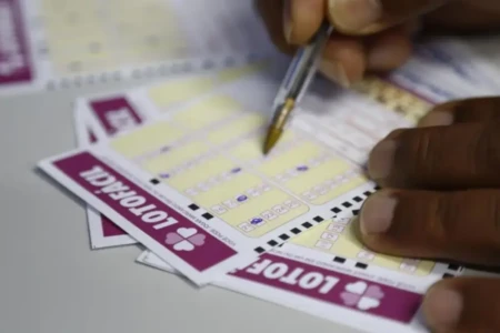 Concurso 3612 da Lotofácil: veja resultado e prêmios que saíram para Goiás (Foto: Agência Brasil)