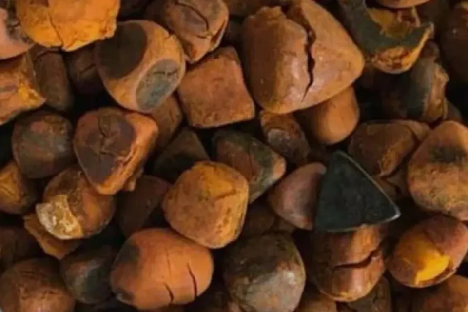 Pedras de fel furtadas - (Foto: divulgação/PC)