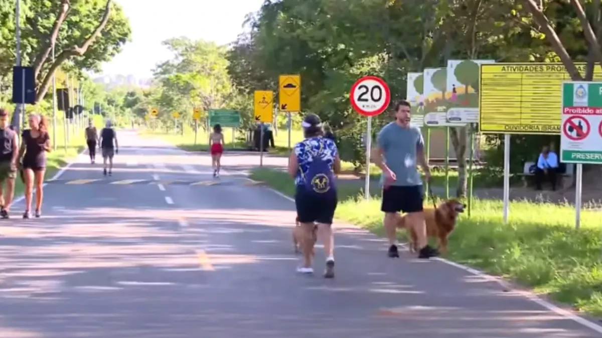 Capivara ataca mulher para defender filhotes no DF (Foto: Reprodução)