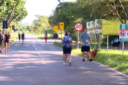 Capivara ataca mulher para defender filhotes no DF (Foto: Reprodução)