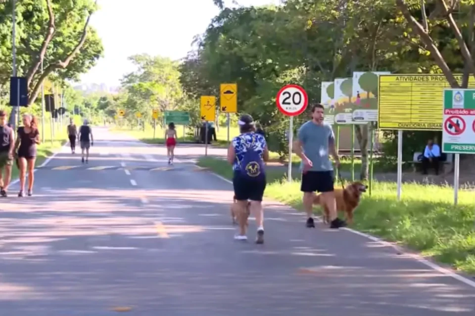 Capivara ataca mulher para defender filhotes no DF (Foto: Reprodução)