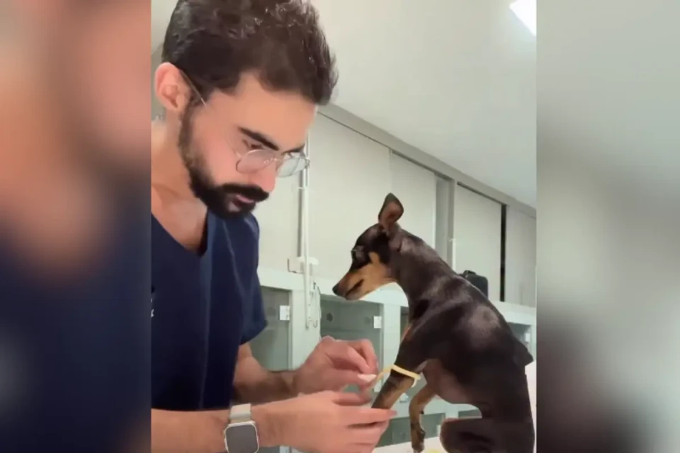 Estudante de veterinária nascido em Trindade encanta animais e conquista web (Foto: Reprodução)