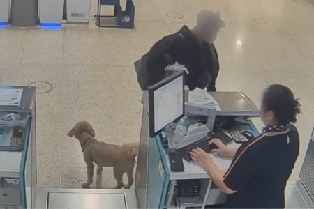 Mulher abandona cachorro no aeroporto após descobrir que animal não poderia voar (Foto: Reprodução)