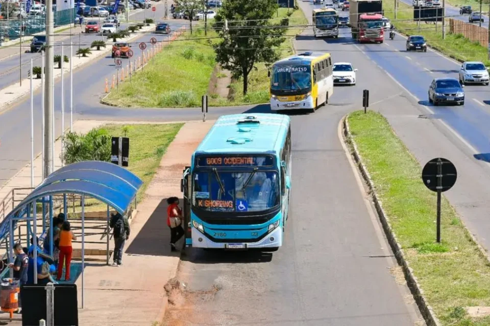 Imagem mostra veículos que operam no transporte coletivo do Entorno