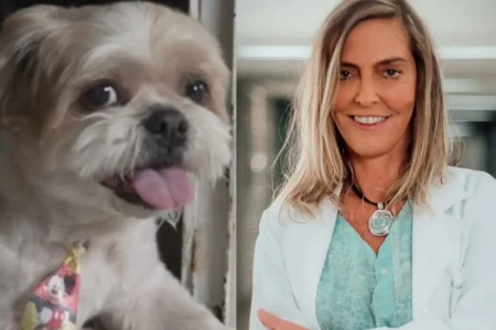 Cachorro com paralisia volta a andar depois de receber Polilaminina Substância reacende esperança em casos de lesão medular