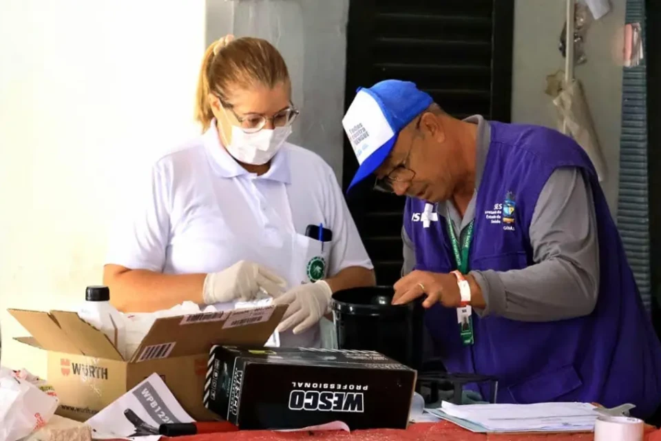 Tecnologia faz mosquito da dengue 'levar o veneno' para outros focos em Caldas Novas