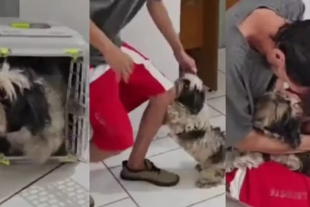 Vídeo: após dois meses longe de casa, cachorrinha reconhece tutor em delegacia Endy foi devolvida ao tutor após "teste" da Polícia Civil