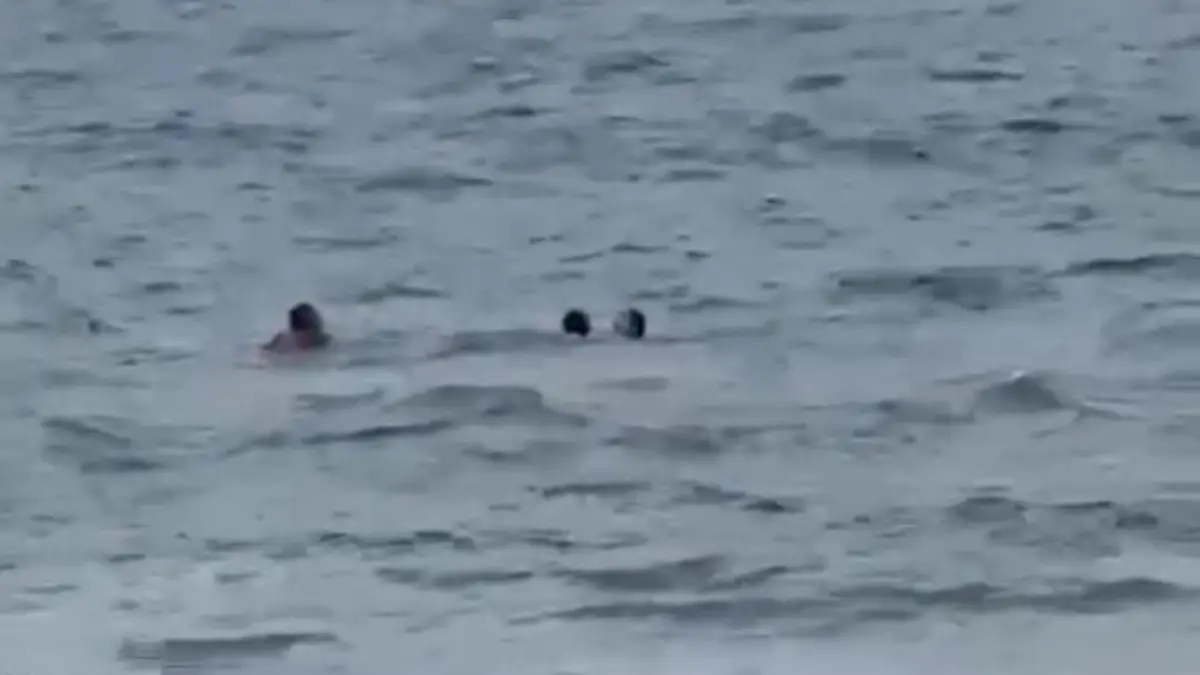 Bombeiro resgatando casal - (Foto: reprodução/redes sociais)