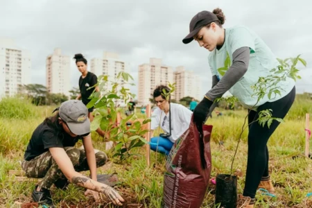 Bloco faz ação sustentável pós-Carnaval com plantio de 500 árvores em Goiânia