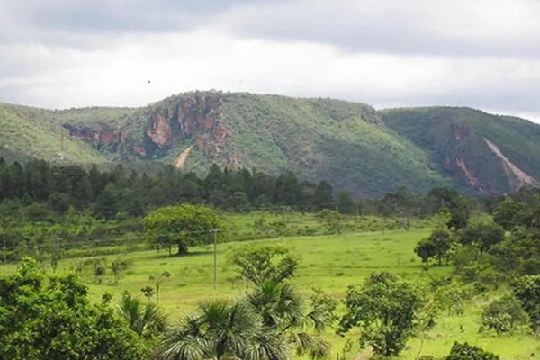 Goiás aparece entre os melhores em pesquisa sobre transparência no meio ambiente (Foto: Divulgação)