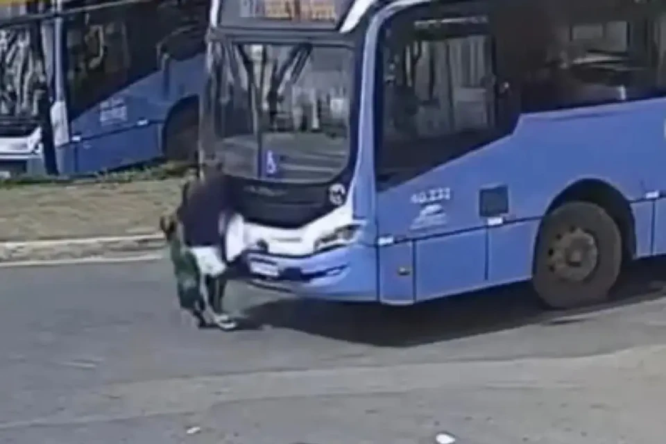 AVO X NETO X ONIBUS