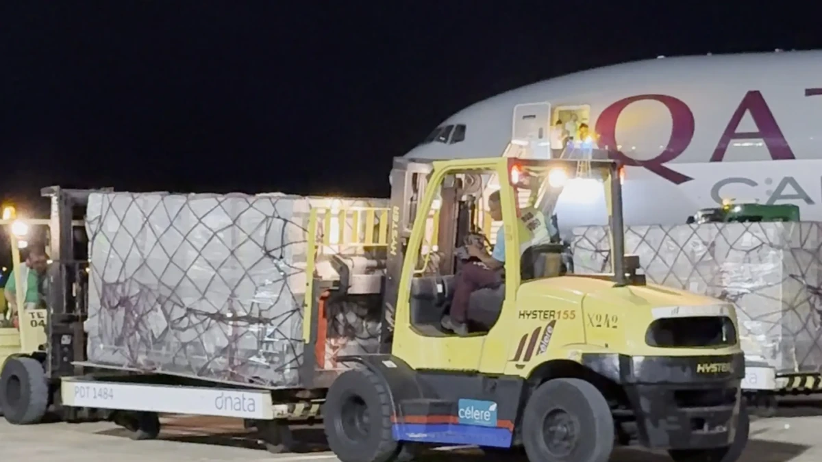 IMG_1795.MOV_snapshot_00.08.629