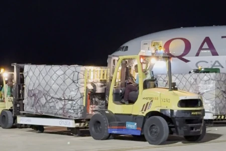 IMG_1795.MOV_snapshot_00.08.629