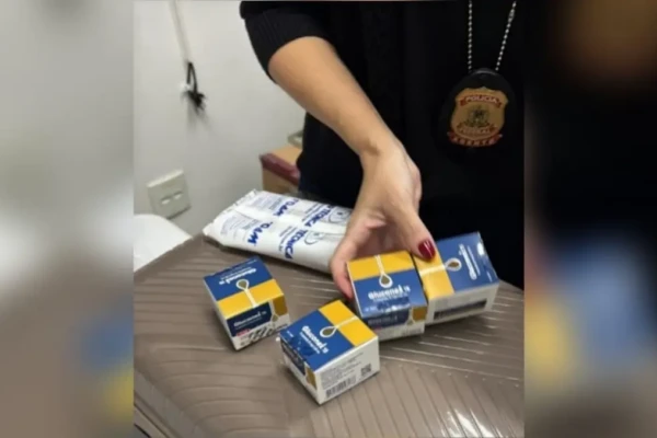 Imagem das apreensões