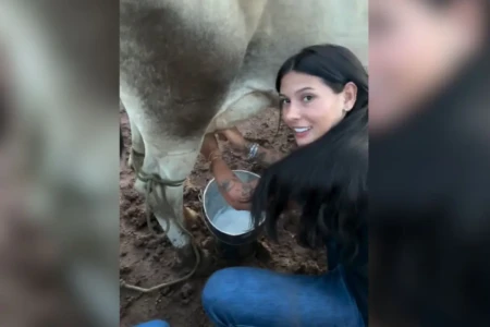 Ana Castela ordenha vaca enquanto canta ‘Talismã’, música do ex-sogro; vídeo (Foto: Reprodução)