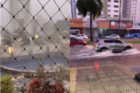 ‘Cê besta, sô’: chuva em Goiânia surpreende leitor do Mais Goiás (Foto: Reprodução)