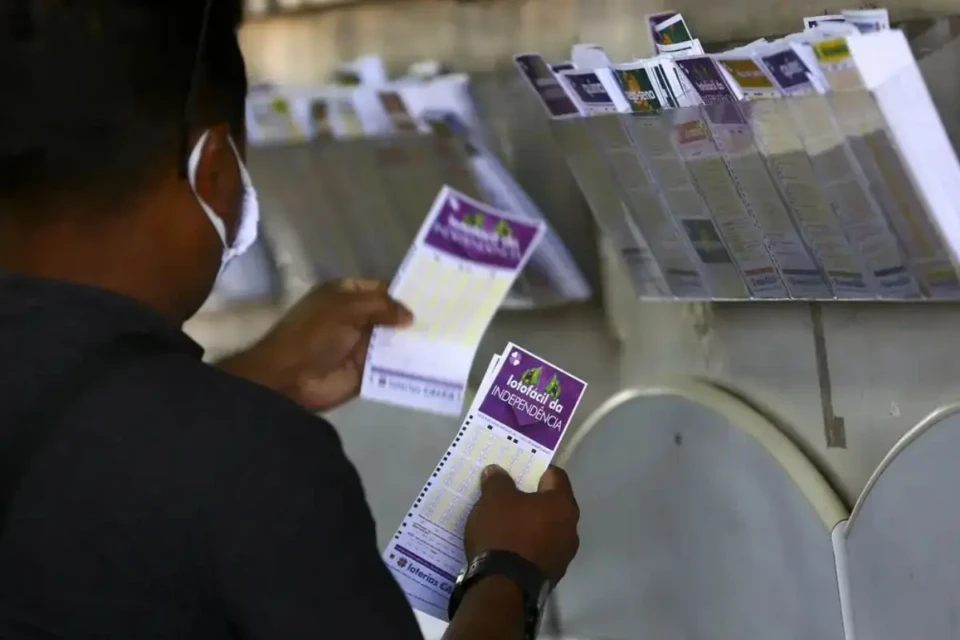 Concurso 3634 da Lotofácil: veja resultado e prêmios que saíram para Goiás (Foto: Agência Brasil)