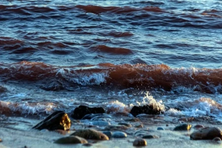 Estreito de Ormuz está aberto para todos, menos para aliados dos EUA, diz chanceler iraniano