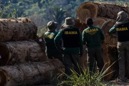 Agentes de fiscalização do Ibama em ação