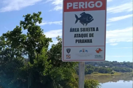 Menina de 7 anos é mordida por piranhas em lago de Caldas Novas (Foto: Reprodução)