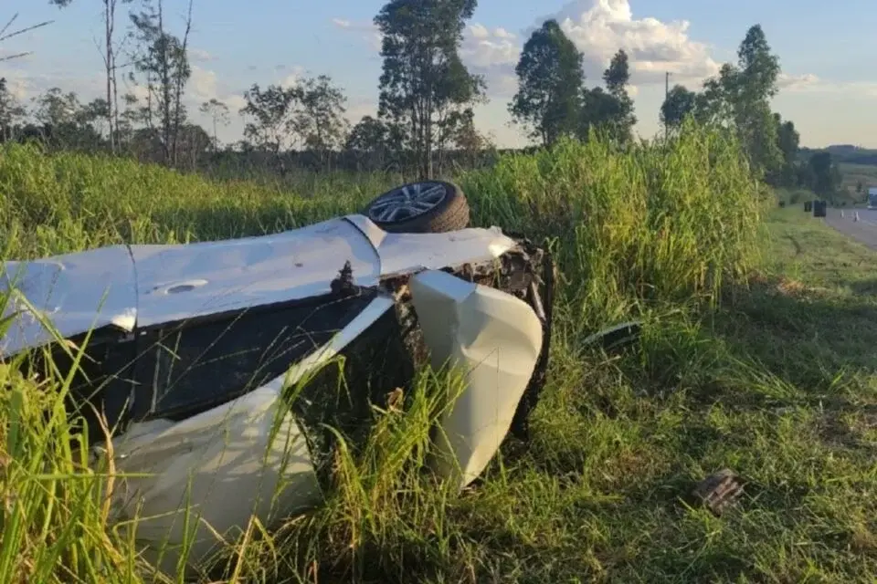 Perda de habitat: animais causam acidentes ao invadir pistas por comida e refúgio em Goiás 5 image Perda de habitat: animais causam acidentes ao invadir pistas por comida e refúgio em Goiás
